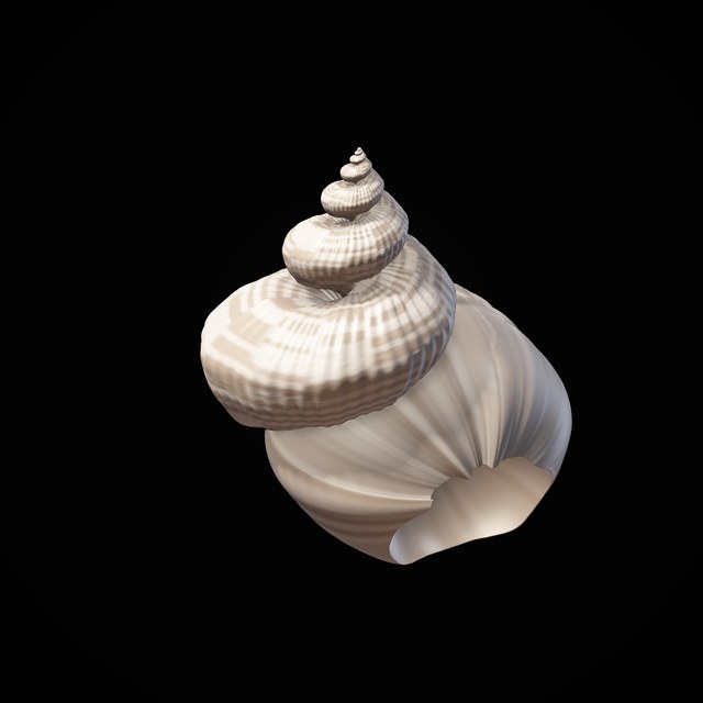 TERATA specimen