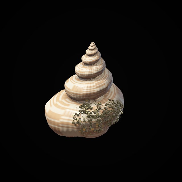 TERATA specimen